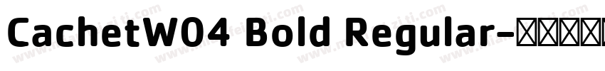 CachetW04 Bold Regular字体转换